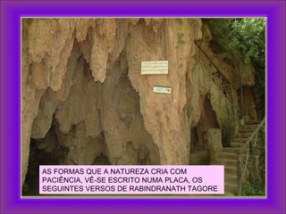 AS FORMAS QUE A NATUREZA CRIA COM
PACIÊNCIA, VÊ-SE ESCRITO NUMA PLACA, OS
SEGUINTES VERSOS DE RABINDRANATH TAGORE
 