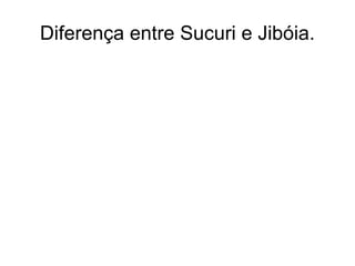 Diferença entre Sucuri e Jibóia. 