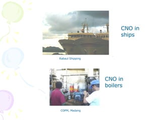 Rabaul Shipping COPM, Madang CNO in boilers CNO in ships 