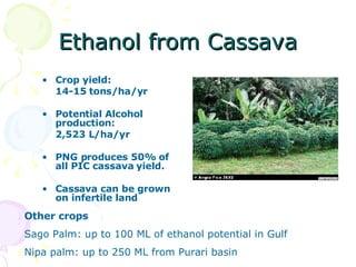 Ethanol from Cassava Crop yield:  14-15 tons/ha/yr  Potential Alcohol production: 2,523 L/ha/yr PNG produces 50% of all PIC cassava yield. Cassava can be grown on infertile land Other crops Sago Palm: up to 100 ML of ethanol potential in Gulf Nipa palm: up to 250 ML from Purari basin 