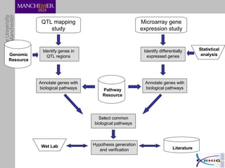 Pathway Resource QTL mapping study Microarray gene expression study Identify genes in QTL regions Identify differentially expressed genes Wet Lab Literature Annotate genes with biological pathways Annotate genes with biological pathways Select common biological pathways Hypothesis generation and verification Statistical analysis Genomic Resource 