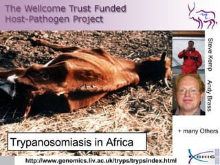 Trypanosomiasis in Africa http://www.genomics.liv.ac.uk/tryps/trypsindex.html Andy Brass Steve Kemp + many Others 