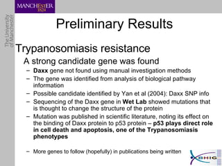 Preliminary Results Trypanosomiasis resistance A strong candidate gene was found  Daxx  gene not found using manual investigation methods The gene was identified from analysis of biological pathway information Possible candidate identified by Yan et al (2004): Daxx SNP info Sequencing of the Daxx gene in  Wet Lab  showed mutations that is thought to change the structure of the protein Mutation was published in scientific literature, noting its effect on the binding of Daxx protein to p53 protein –  p53 plays direct role in cell death and apoptosis, one of the Trypanosomiasis phenotypes More genes to follow (hopefully) in publications being written 
