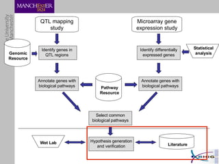 Pathway Resource QTL mapping study Microarray gene expression study Identify genes in QTL regions Identify differentially expressed genes Wet Lab Literature Annotate genes with biological pathways Annotate genes with biological pathways Select common biological pathways Hypothesis generation and verification Statistical analysis Genomic Resource 