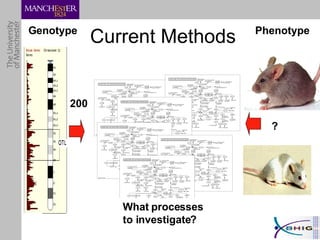 Genotype Phenotype ? Current Methods 200 What processes to investigate? 