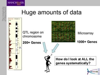 Huge amounts of data 200+ Genes QTL region on chromosome Microarray 1000+ Genes How do I look at ALL the genes systematically? 