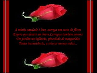 A minha saudade é leve, carrega um cesto de flores Espero que dentro em breve.Carregue também amores Um jardim na infância, pincelado de margaridas Tanta inconstância, a retocar nossas vidas... 