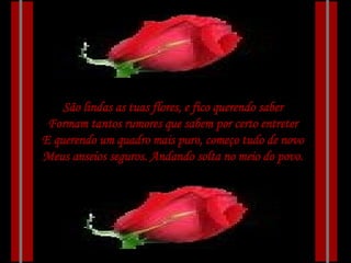 São lindas as tuas flores, e fico querendo saber Formam tantos rumores que sabem por certo entreter E querendo um quadro mais puro, começo tudo de novo Meus anseios seguros. Andando solta no meio do povo. 