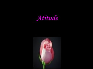 Atitude 
