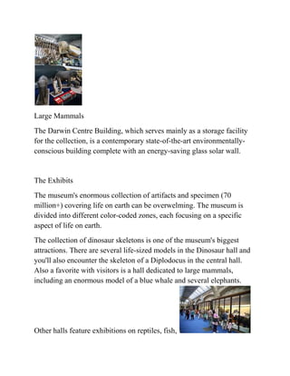 Large Mammals
The Darwin Centre Building, which serves mainly as a storage facility
for the collection, is a contemporary state-of-the-art environmentally-
conscious building complete with an energy-saving glass solar wall.


The Exhibits
The museum's enormous collection of artifacts and specimen (70
million+) covering life on earth can be overwelming. The museum is
divided into different color-coded zones, each focusing on a specific
aspect of life on earth.
The collection of dinosaur skeletons is one of the museum's biggest
attractions. There are several life-sized models in the Dinosaur hall and
you'll also encounter the skeleton of a Diplodocus in the central hall.
Also a favorite with visitors is a hall dedicated to large mammals,
including an enormous model of a blue whale and several elephants.




Other halls feature exhibitions on reptiles, fish,
 