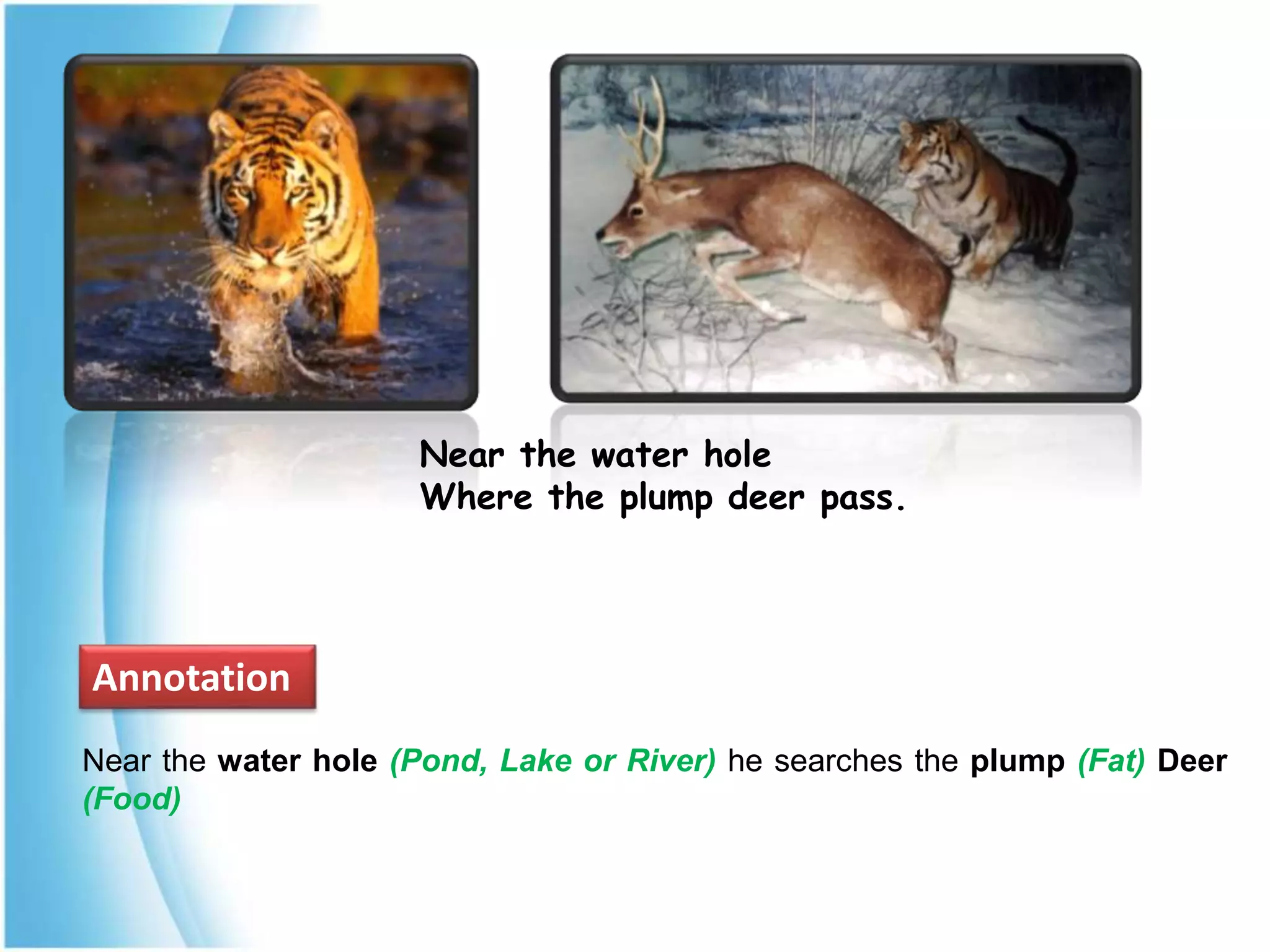 Jangal And Sher PPT jangal-and-sher-ppt
