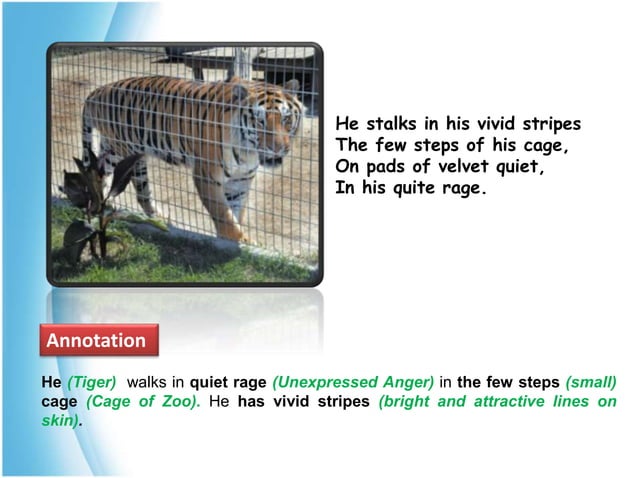 Jangal And Sher PPT jangal-and-sher-ppt