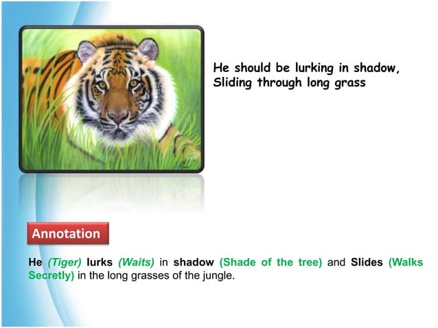 Jangal And Sher PPT he-stalks-in-his-vivid-stripes-mention-the-poetic-device-used-in
