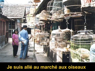 Je suis allé au marché aux oiseaux
