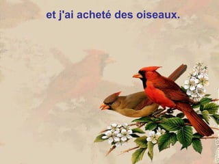 et j'ai acheté des oiseaux.
