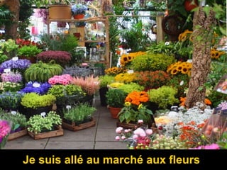 Je suis allé au marché aux fleurs