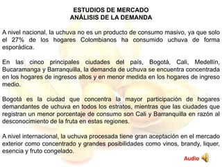 ESTUDIOS DE MERCADO
ANÁLISIS DE LA DEMANDA
A nivel nacional, la uchuva no es un producto de consumo masivo, ya que solo
el 27% de los hogares Colombianos ha consumido uchuva de forma
esporádica.
En las cinco principales ciudades del país, Bogotá, Cali, Medellín,
Bucaramanga y Barranquilla, la demanda de uchuva se encuentra concentrada
en los hogares de ingresos altos y en menor medida en los hogares de ingreso
medio.
Bogotá es la ciudad que concentra la mayor participación de hogares
demandantes de uchuva en todos los estratos, mientras que las ciudades que
registran un menor porcentaje de consumo son Cali y Barranquilla en razón al
desconocimiento de la fruta en estas regiones.
A nivel internacional, la uchuva procesada tiene gran aceptación en el mercado
exterior como concentrado y grandes posibilidades como vinos, brandy, liquer,
esencia y fruto congelado.
Audio
 