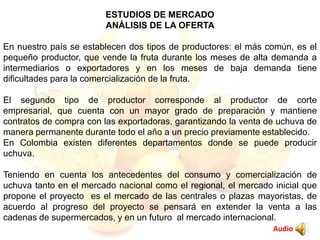 ESTUDIOS DE MERCADO
ANÁLISIS DE LA OFERTA
En nuestro país se establecen dos tipos de productores: el más común, es el
pequeño productor, que vende la fruta durante los meses de alta demanda a
intermediarios o exportadores y en los meses de baja demanda tiene
dificultades para la comercialización de la fruta.
El segundo tipo de productor corresponde al productor de corte
empresarial, que cuenta con un mayor grado de preparación y mantiene
contratos de compra con las exportadoras, garantizando la venta de uchuva de
manera permanente durante todo el año a un precio previamente establecido.
En Colombia existen diferentes departamentos donde se puede producir
uchuva.
Teniendo en cuenta los antecedentes del consumo y comercialización de
uchuva tanto en el mercado nacional como el regional, el mercado inicial que
propone el proyecto es el mercado de las centrales o plazas mayoristas, de
acuerdo al progreso del proyecto se pensará en extender la venta a las
cadenas de supermercados, y en un futuro al mercado internacional.
Audio
 