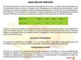 ANÁLISIS DE PRECIOS
De acuerdo al estudio de mercado para la comercialización de uchuva en Nariño; los precios fijados por
el intermediario para la uchuva sin capacho está influenciado por el destino final del producto; si está
destinado para mercados locales, el precio promedio pagado por los consumidores a los intermediarios es
de $3.000.kg. En los mercados de exportación, existe la posibilidad para los intermediarios de obtener
mayores márgenes de ganancia, sin embargo, las exigencias son superiores en calidad y cantidad.
El precio de uchuva se genera por efecto de oferta y demanda del mercado interno, para establecer el
precio de nuestro producto, se construye de acuerdo a precios actuales establecidos para el mercado
objetivo y el establecido por las centrales de abasto, teniendo en cuenta que somos productores primarios
el precio sería 1800 por kg.
COSTOS DE TRANSPORTE
El transporte se realizará en canastillas en un vehículo turbo, el cual tendrá disponibilidad para 200
canastillas y se fijará un precio de 1000 por canastilla, obteniendo un gasto final de $200.000
CONDICIONES DE PAGO
Teniendo en cuenta que el mercado objetivo serán las plazas mayoristas se recibirá inmediatamente
entregado el producto el pago que será en efectivo, de acuerdo a la evolución y expansión de nuestro
mercado las negociaciones comerciales con cadenas de supermercados se realizarán por medio de
transferencia electrónica o consignación a nuestro nombre.
Audio
 