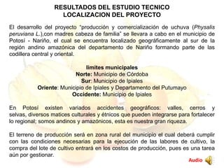 RESULTADOS DEL ESTUDIO TECNICO
LOCALIZACION DEL PROYECTO
El desarrollo del proyecto “producción y comercialización de uchuva (Physalis
peruviana L.),con madres cabeza de familia” se llevara a cabo en el municipio de
Potosí - Nariño, el cual se encuentra localizado geográficamente al sur de la
región andino amazónica del departamento de Nariño formando parte de las
codillera central y oriental.
limites municipales
Norte: Municipio de Córdoba
Sur: Municipio de Ipiales
Oriente: Municipio de Ipiales y Departamento del Putumayo
Occidente: Municipio de Ipiales
En Potosí existen variados accidentes geográficos: valles, cerros y
selvas, diversos matices culturales y étnicos que pueden integrarse para fortalecer
lo regional; somos andinos y amazónicos, esta es nuestra gran riqueza.
El terreno de producción será en zona rural del municipio el cual deberá cumplir
con las condiciones necesarias para la ejecución de las labores de cultivo, la
compra del lote de cultivo entrará en los costos de producción, pues es una tarea
aún por gestionar.
Audio
 