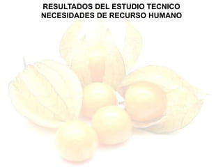 RESULTADOS DEL ESTUDIO TECNICO
NECESIDADES DE RECURSO HUMANO
 