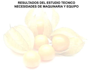 RESULTADOS DEL ESTUDIO TECNICO
NECESIDADES DE MAQUINARIA Y EQUIPO
 