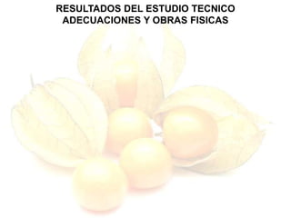 RESULTADOS DEL ESTUDIO TECNICO
ADECUACIONES Y OBRAS FISICAS
 