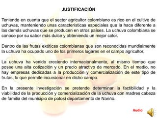 Audio
JUSTIFICACIÓN
Teniendo en cuenta que el sector agricultor colombiano es rico en el cultivo de
uchuvas, manteniendo unas características especiales que la hace diferente a
las demás uchuvas que se producen en otros países. La uchuva colombiana se
conoce por su sabor más dulce y obteniendo un mejor color.
Dentro de las frutas exóticas colombianas que son reconocidas mundialmente
la uchuva ha ocupado uno de los primeros lugares en el campo agricultor.
La uchuva ha venido creciendo internacionalmente, al mismo tiempo que
posee una alta cotización y un precio atractivo de mercado. En el medio, no
hay empresas dedicadas a la producción y comercialización de este tipo de
frutas, lo que permite incursionar en dicho campo.
En la presente investigación se pretende determinar la factibilidad y la
viabilidad de la producción y comercialización de la uchuva con madres cabeza
de familia del municipio de potosí departamento de Nariño.
 