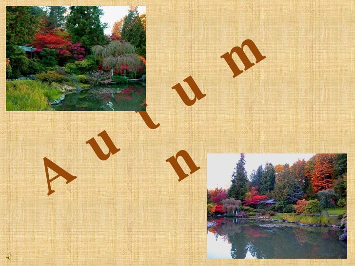 A u t u m n 