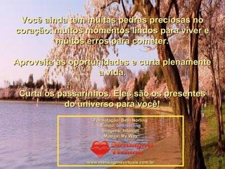 Você ainda tem muitas pedras preciosas no coração: muitos momentos lindos para viver e muitos erros para cometer. Aproveite as oportunidades e curta plenamente a vida. Curta os passarinhos. Eles são os presentes do universo para você! Formatação: Beth Norling E-mail:  bethnorling Imagens: Internet Música: My Way www.mensagensvirtuais.com.br 