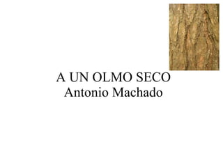 A UN OLMO SECO Antonio Machado 
