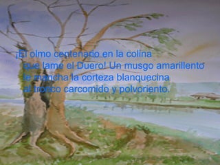 A Un Olmo Seco Antonio Machado | PPT