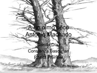A un olmo seco Antonio Machado Camila Díaz Constanza Bascuñan Rosita Frenkiel 