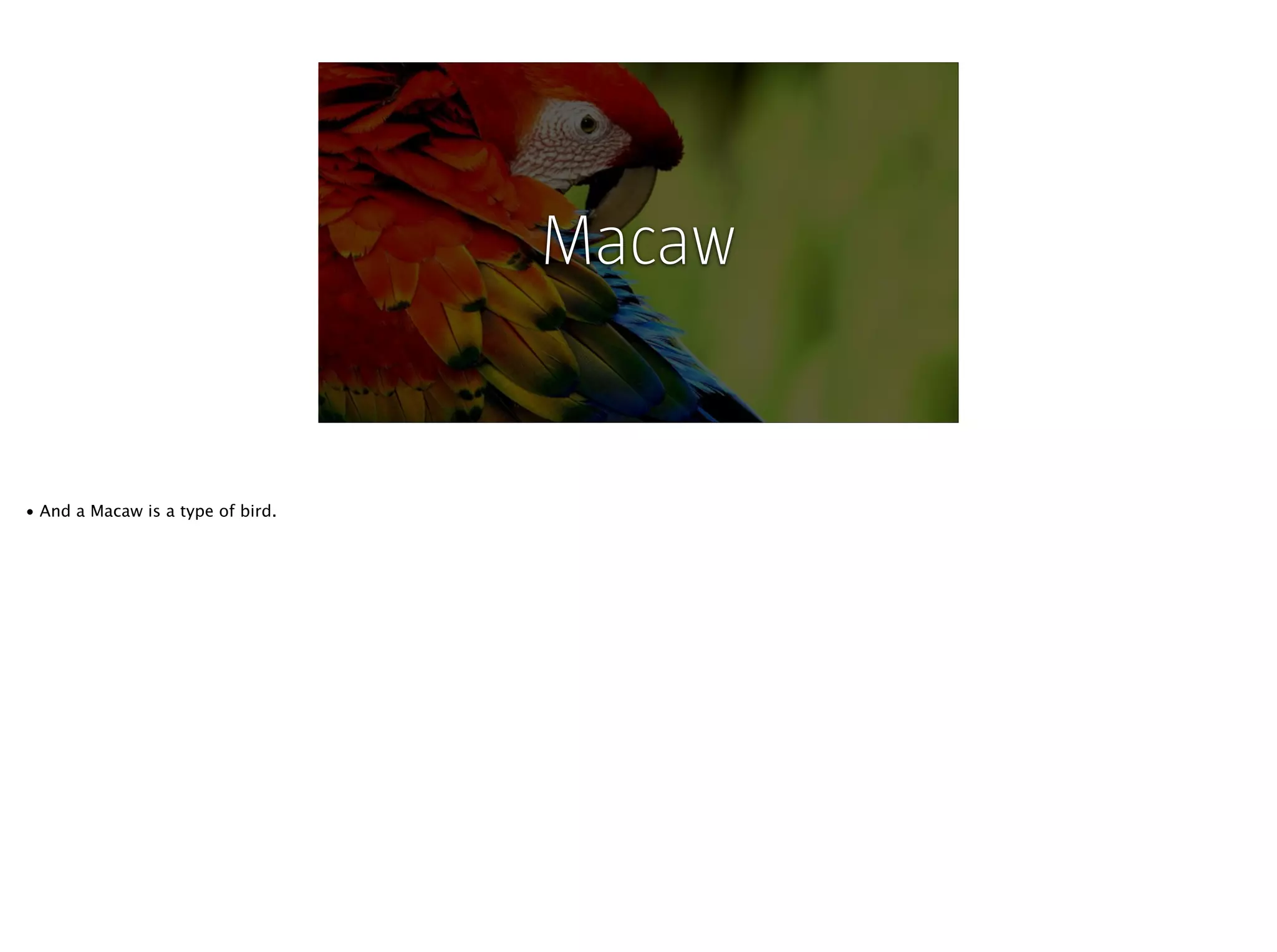 @fehler
Macaw
• And a Macaw is a type of bird.
 