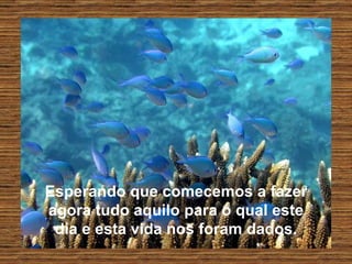 Esperando que comecemos a fazer agora tudo aquilo para o qual este dia e esta vida nos foram dados. 
