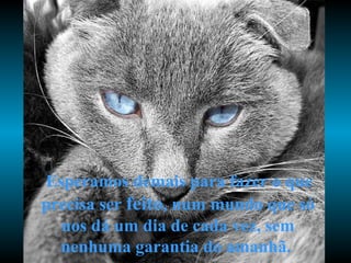 Esperamos demais para fazer o que precisa ser  feito , num mundo que só nos dá um dia de cada vez, sem nenhuma garantia do amanhã.   