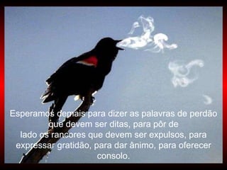 Esperamos demais para dizer as palavras de perdão que devem ser ditas, para pôr de lado os rancores que devem ser expulsos, para expressar gratidão, para dar ânimo, para oferecer consolo. 