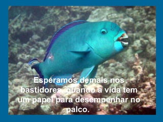 Esperamos demais nos bastidores, quando a vida tem um papel para desempenhar no palco.  