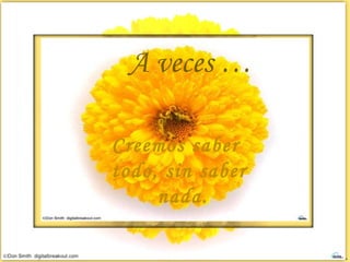 A veces … Creemos saber todo, sin saber nada.