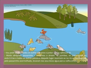 - Vou pedir ajuda a todos os outros pássaros e juntos vamos refrescar-te.
- Muito obrigada, passarinho – exclamou a árvore. As pombas, os passarinhos, as
andorinhas e todos os outros pássaros daquele lugar reuniram-se no rio e, comandadas
pelo passarinho avermelhado, levaram nos seus bicos água para a velha árvore.
 