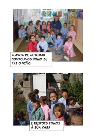 A Vendima