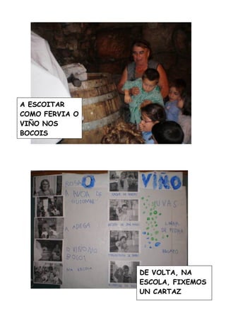 A Vendima