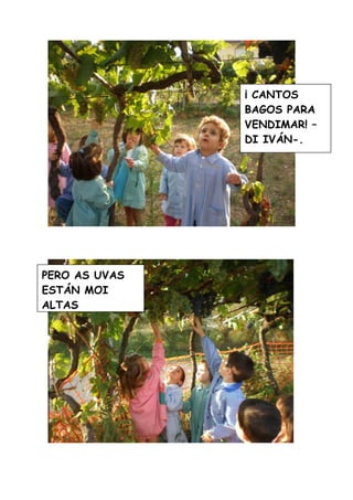 A Vendima