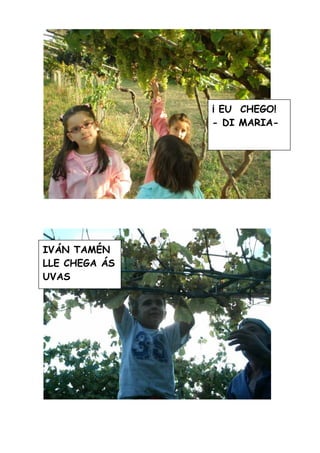 A Vendima