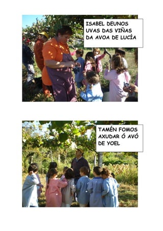 A Vendima