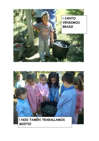 A Vendima
