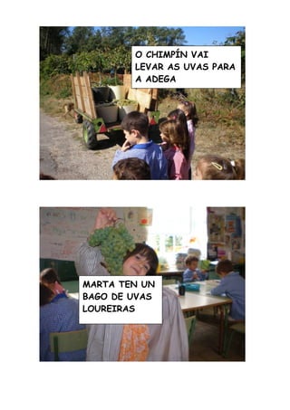 A Vendima