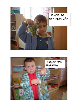 A Vendima