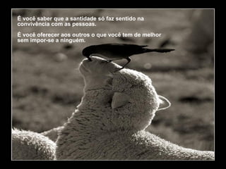 É você saber que a santidade só faz sentido na convivência com as pessoas.  É você oferecer aos outros o que você tem de melhor sem impor-se a ninguém.  