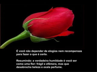É você não depender de elogios nem recompensas para fazer o que é certo.  Resumindo: a verdadeira humildade é você ser como uma flor: frágil e efêmera, mas que desabrocha beleza e exala perfume.   